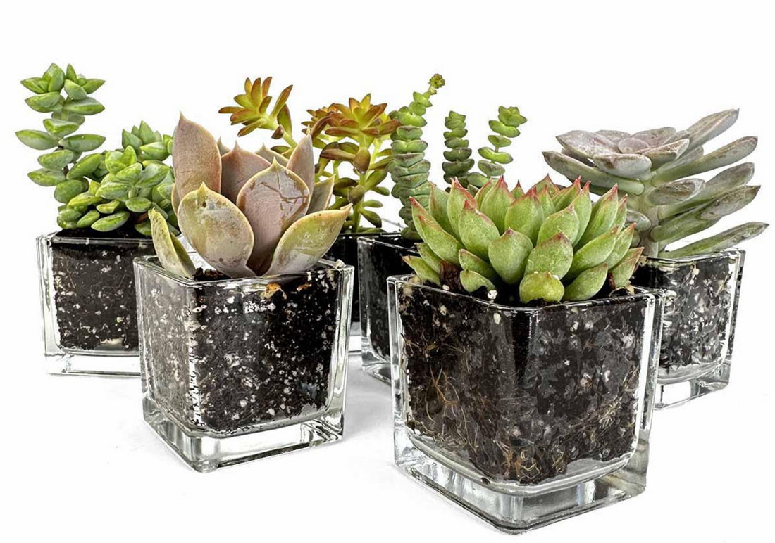 Repurpose Your Candle Vessels: Chic And Unique Ideas.