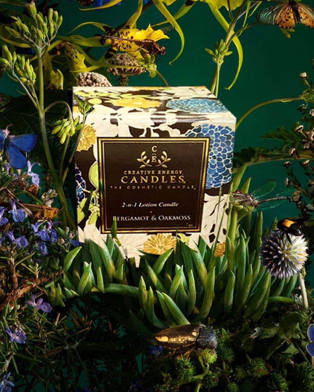 Bergamot & Oakmoss Soy Lotion Candle - Creative Energy Candles